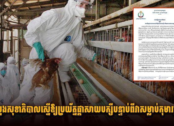 ក្រសួងសុខាភិបាលស្នើឱ្យប្រយ័ត្នផ្តាសាយបក្សី បន្ទាប់ពីវាសម្លា.ប់កុមារម្នាក់