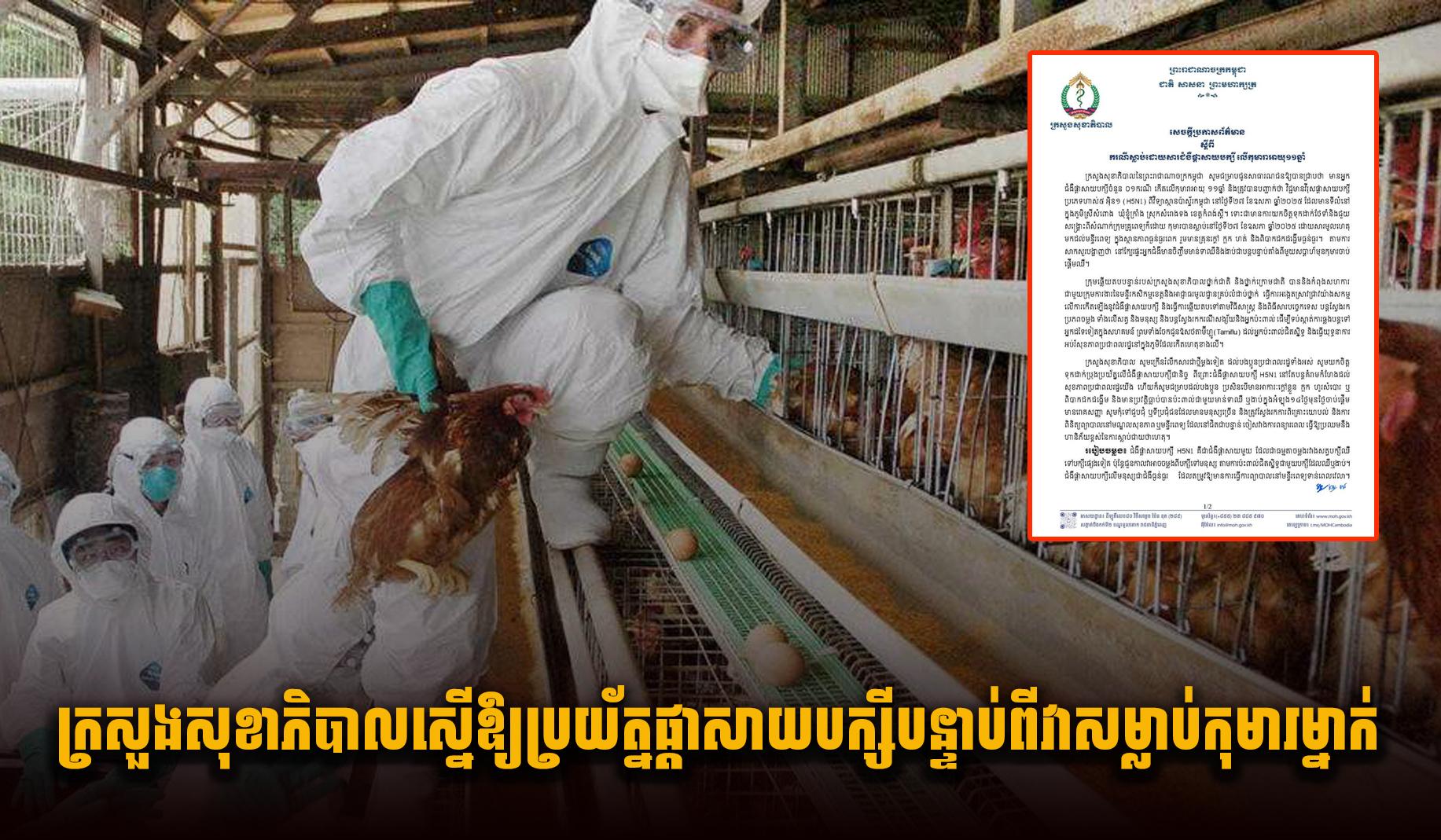 ក្រសួងសុខាភិបាលស្នើឱ្យប្រយ័ត្នផ្តាសាយបក្សី បន្ទាប់ពីវាសម្លា.ប់កុមារម្នាក់