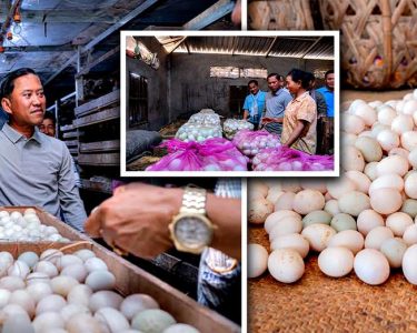 មន្ដ្រីជាន់ខ្ពស់ក្រសួងកសិកម្ម៖ ពងទាកូនស្រែរនោង ខេត្តតាកែវ គ្រោងចុះបញ្ជីម៉ាកសម្គាល់ភូមិសាស្រ្តទំនិញ