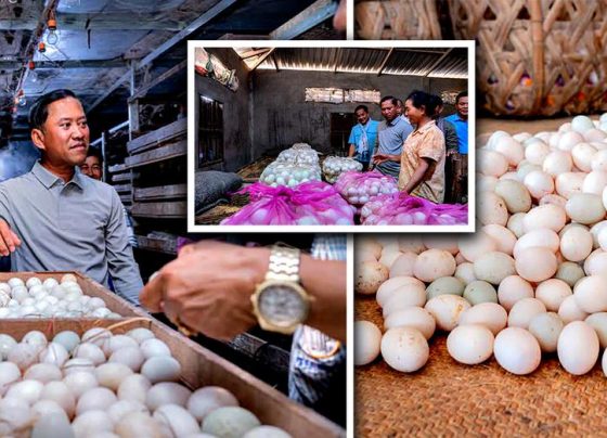 មន្ដ្រីជាន់ខ្ពស់ក្រសួងកសិកម្ម៖ ពងទាកូនស្រែរនោង ខេត្តតាកែវ គ្រោងចុះបញ្ជីម៉ាកសម្គាល់ភូមិសាស្រ្តទំនិញ