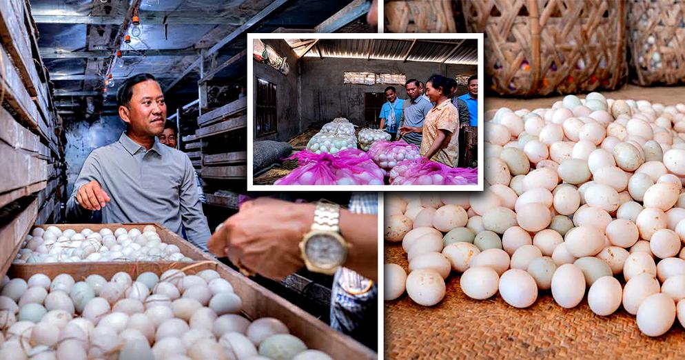 មន្ដ្រីជាន់ខ្ពស់ក្រសួងកសិកម្ម៖ ពងទាកូនស្រែរនោង ខេត្តតាកែវ គ្រោងចុះបញ្ជីម៉ាកសម្គាល់ភូមិសាស្រ្តទំនិញ