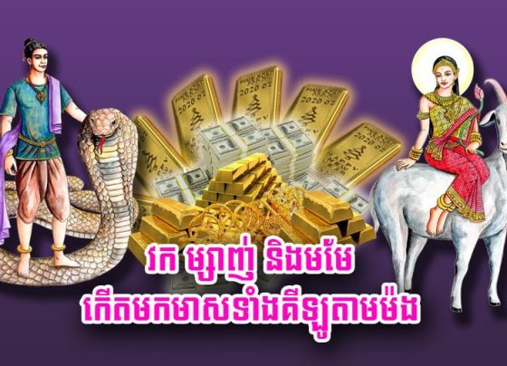 វក ម្សាញ់ និង​មមែ កើតមក​មាស​ទាំង​គីឡូ​តាម​ម៉​ង