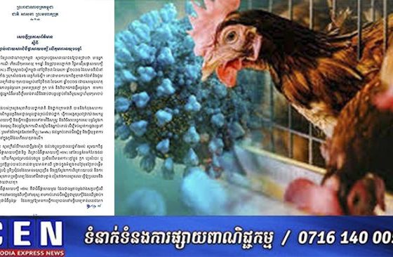 ក្រសួងសុខាភិបាលប្រកាសពីការស្លាប់កុមារាអាយុ១១ឆ្នាំម្នាក់ទៀត ដោយសារជំងឺផ្តាសាយបក្សី H5N1