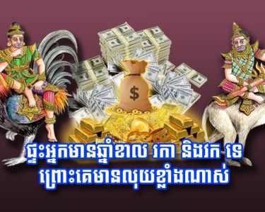 ផ្ទះ​អ្នកមាន​ឆ្នាំខាល រកា និង​វក​ ទេ ព្រោះ​គេ​មាន​លុយ​ខ្លាំង​ណាស់