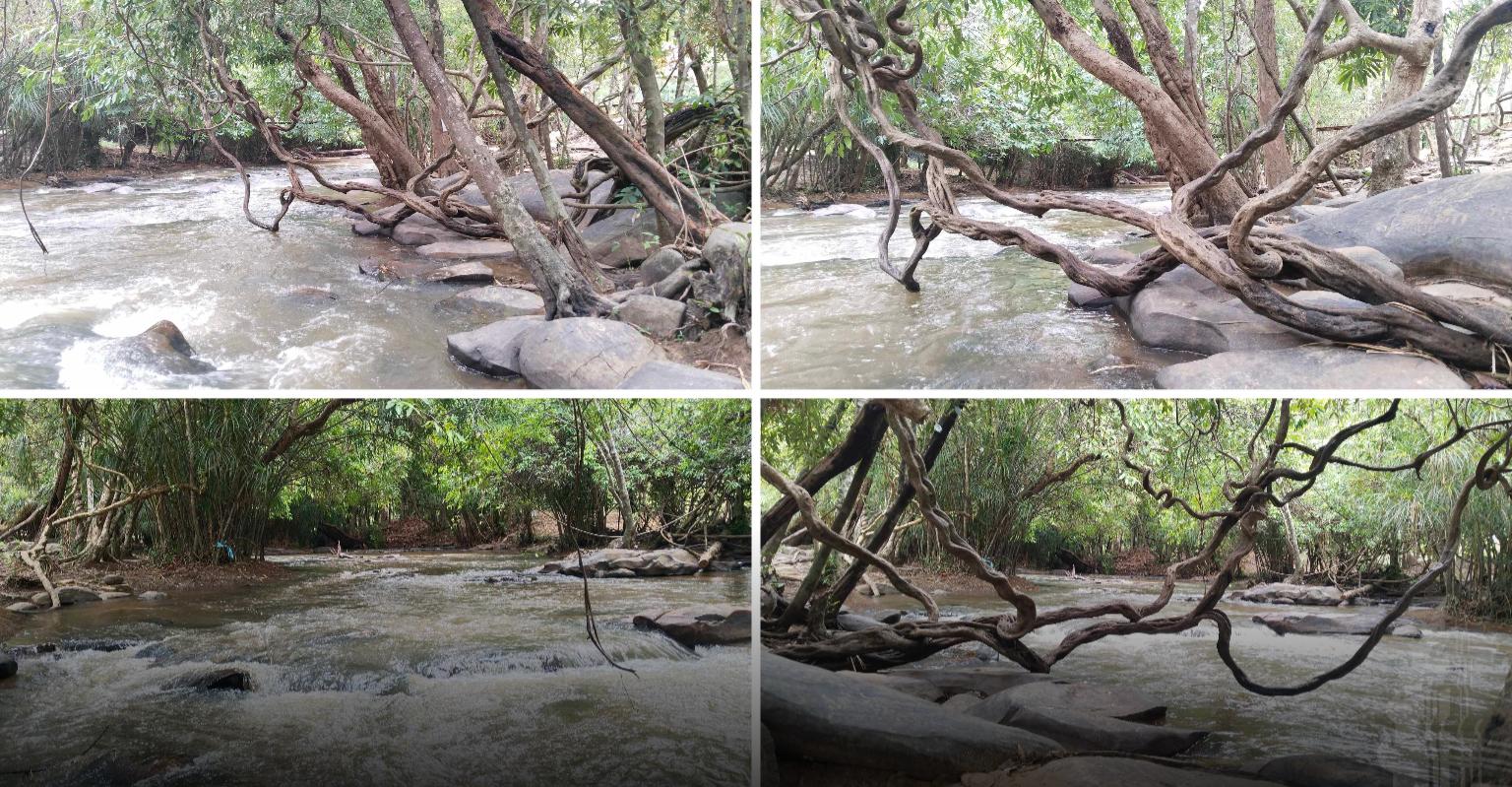 អ្នកទេសចរ​លើក​ឡើង​ថា​៖ ​ទាក់ទាញ​គ្រប់យ៉ាង​នៅ​​រមណីយដ្ឋាន​អូរ​ឫស្សី​កណ្ដាល អភ័ព្វ​អត់​តែ​ភ្លើង​អគ្គិសនី​ទេ