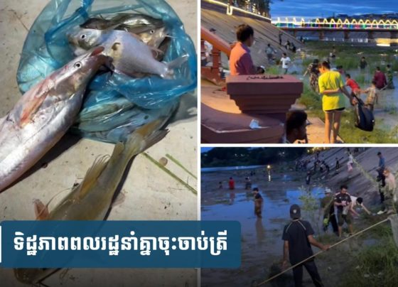ត្រី​ពុ.លក្នុង​ស្ទឹង​ព្រែក​ត្នោត មិន​ទាន់​ដឹង​មូលហេតុ ផ្អើល​ប្រជាពលរដ្ឋ​នាំ​គ្នា​​ចុះចា.ប់
