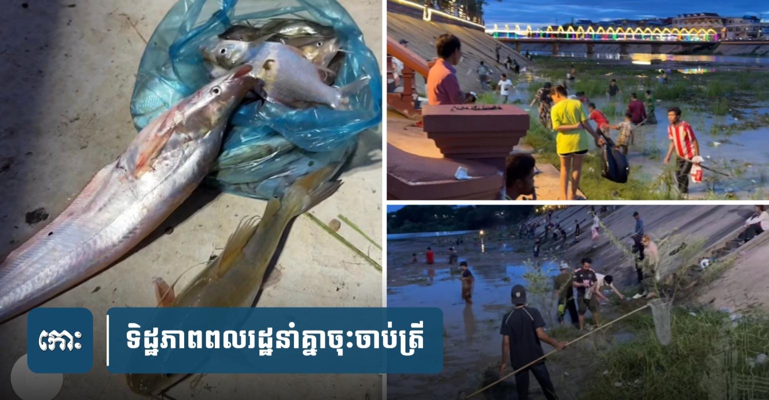ត្រី​ពុ.លក្នុង​ស្ទឹង​ព្រែក​ត្នោត មិន​ទាន់​ដឹង​មូលហេតុ ផ្អើល​ប្រជាពលរដ្ឋ​នាំ​គ្នា​​ចុះចា.ប់