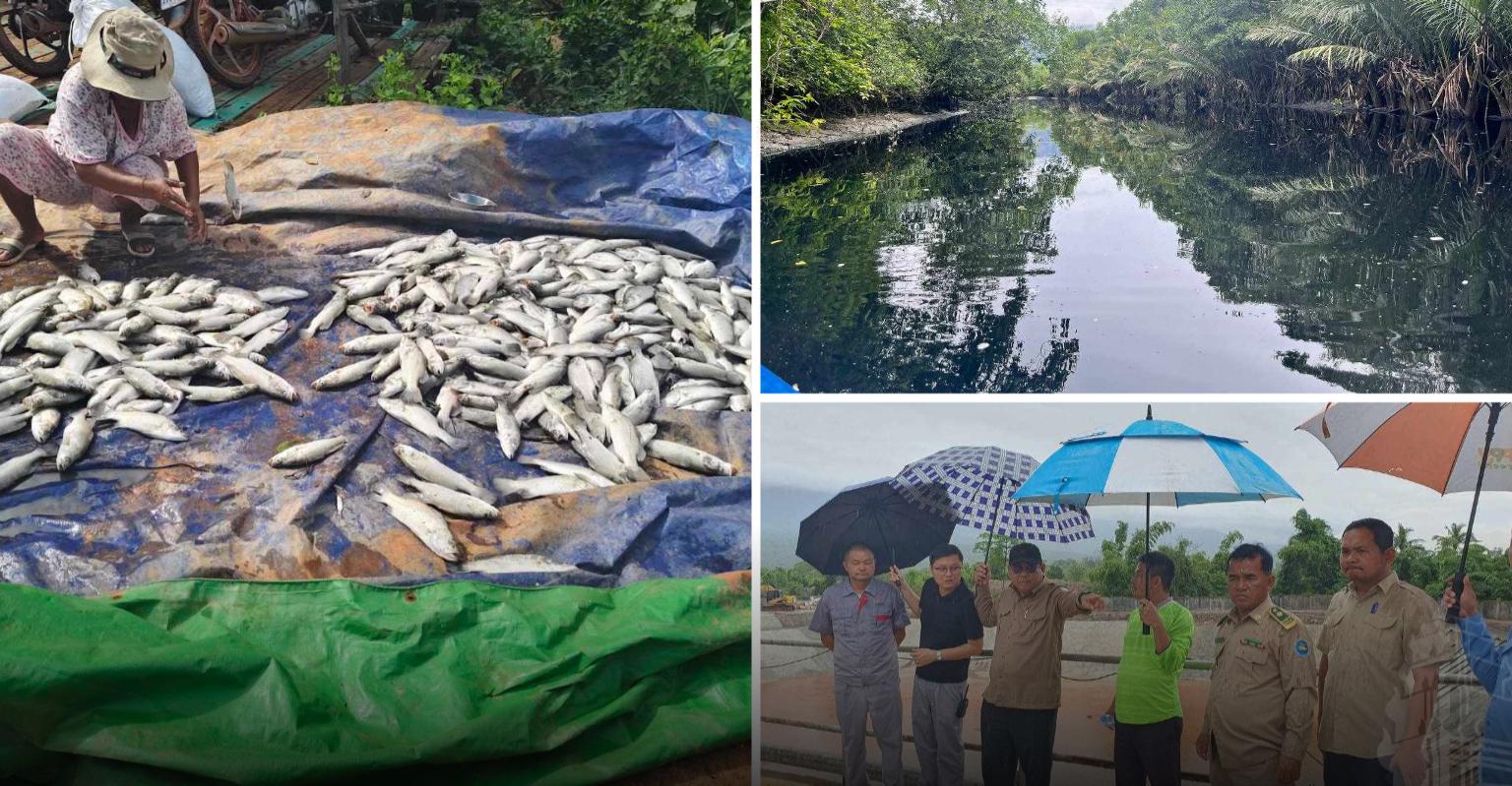 បំពុលបរិស្ថាន៖ ក្រោយ​ត្រី​ងាប់​នៅ​ព្រៃនប់ ក្រសួង​បរិស្ថាន​រកឃើញ​ក្រុមហ៊ុន​បង្ហូរ​សំណល់​រាវ​ចូល​អូរ
