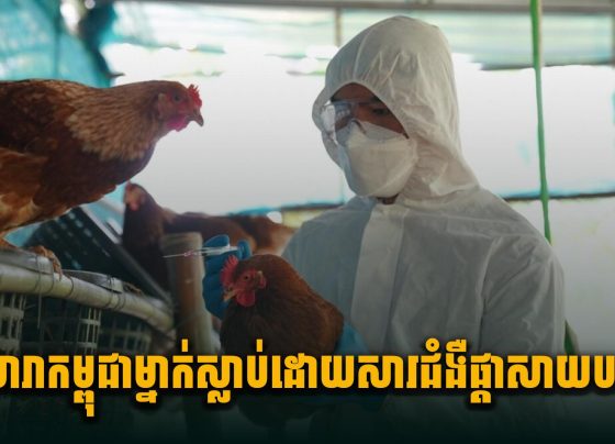 កុមារាកម្ពុជាម្នាក់ស្លា.ប់ដោយសារ ជំងឺផ្តាសាយបក្សី