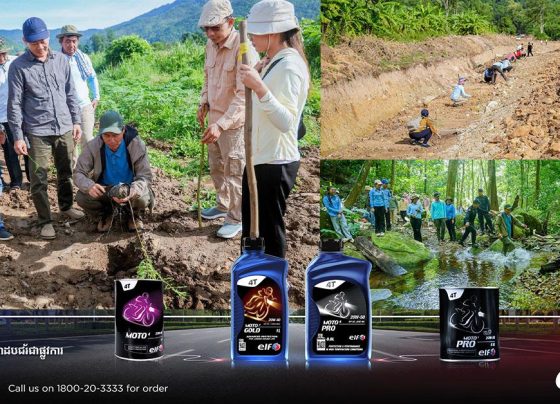 អាជ្ញាធរខេត្តពោធិ៍សាត់ ចាប់ផ្តើមដាំកូនឈើលម្អជាង ៣០០ដើម នៅតាមដងផ្លូវរមណីយដ្ឋានភ្នំទំព័រ ដើម្បីលើកកម្ពស់វិស័យបរិស្ថានបៃតង និងទេសចរណ៍