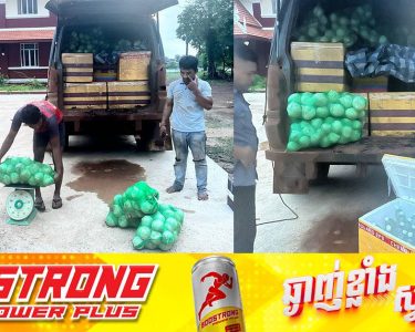 មន្ត្រីគយខេត្តព្រះវិហារ បង្ក្រាបបានដូងក្រអូបរាប់ពាន់ផ្លែ ដែលគេចពន្ធពីប្រទេសថៃឆ្លងកាត់ព្រំដែនឡាវ ចូលមកខេត្តព្រះវិហារ