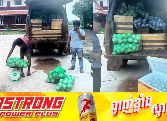 មន្ត្រីគយខេត្តព្រះវិហារ បង្ក្រាបបានដូងក្រអូបរាប់ពាន់ផ្លែ ដែលគេចពន្ធពីប្រទេសថៃឆ្លងកាត់ព្រំដែនឡាវ ចូលមកខេត្តព្រះវិហារ