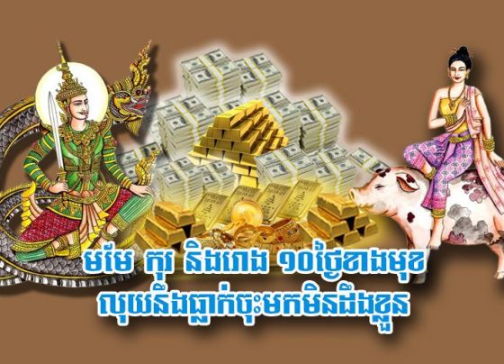 មមែ កុរ និង​រោង ១០​ថ្ងៃ​ខាង​មុខ លុយ​នឹង​ធ្លាក់​ចុះ​មក​មិនដឹង​ខ្លួន