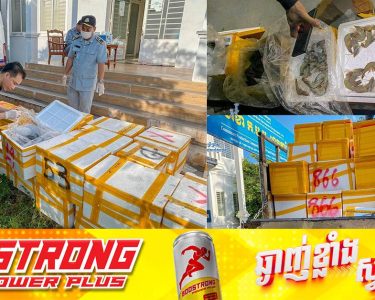 មន្រ្តីជំនាញខេត្តតាកែវ បង្គ្រាបបានបង្គាចាក់ចាហួយចំនួន ៣៧កេស បានធ្វើការដកហូត និងដុតកម្ទេចចោល