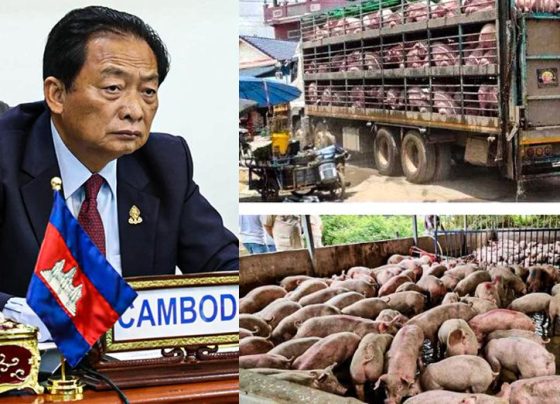 ឧកញ៉ា ម៉ុង ឫទ្ធី ស្នើឱ្យរាជរដ្ឋាភិបាលពង្រឹងការត្រួតពិនិត្យគុណភាពការនាំចូលជីកសិកម្ម, ពូជសត្វ និងពូជឈើហូបផ្លែ មកកាន់ប្រទេសកម្ពុជា
