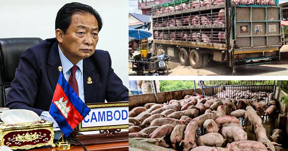 ពង្រឹងគុណភាពនាំចូលកសិកម្ម៖ ឧកញ៉ា ម៉ុង ឫទ្ធី ស្នើឲ្យរដ្ឋាភិបាលរឹតបន្តឹងការត្រួតពិនិត្យជីកសិកម្ម ពូជសត្វ និងពូជឈើហូបផ្លែ