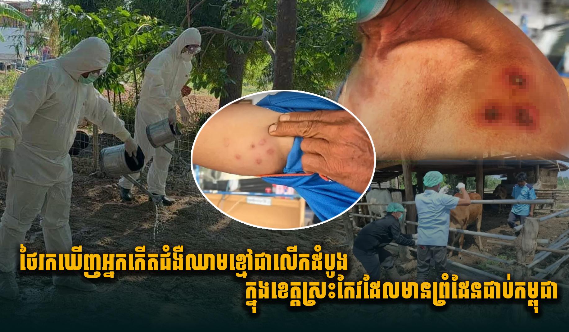 ជំងឺឈាមខ្មៅ (អង់ត្រាក់): ថៃរកឃើញករណីឆ្លងដំបូងនៅខេត្តស្រះកែវ ជាប់ព្រំដែនកម្ពុជា