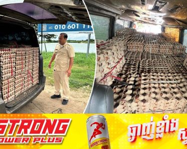 សមត្ថកិច្ចជំនាញ ឃាត់ចាប់រថយន្តមួយគ្រឿង ដឹកពងមាន់ចំនួន ៣០០០០គ្រាប់ ចេញពីប្រទេសវៀតណាម ឆ្ពោះយកមកចែកចាយនៅរាជធានីភ្នំពេញ ដោយគ្មានលិខិតអនុញ្ញាត