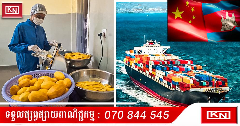 នាំចេញកសិផលកម្ពុជា៖ ចិនបើកភ្លើងខៀវឱ្យកម្ពុជា នាំចេញស្វាយស្ងួត និងទុរេនស្ងួតជាង ៣ម៉ឺនតោន ទៅកាន់ទីផ្សារខ្លួន