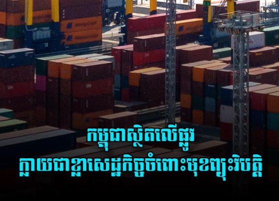 កម្ពុជា​ស្ថិត​លើ​ផ្លូវ​ក្លាយជា​ខ្លា​សេដ្ឋកិច្ច​ចំពោះ​មុខ​ព្យុះ​វិបត្តិ