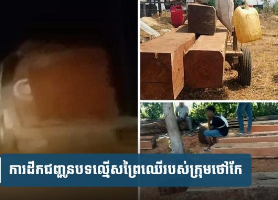 មានអ្នកលួ.ចកា.ប់ឈើដឹកកាន់តែច្រើន អញអ្នកចាប់ក៏កាន់តែសើម?