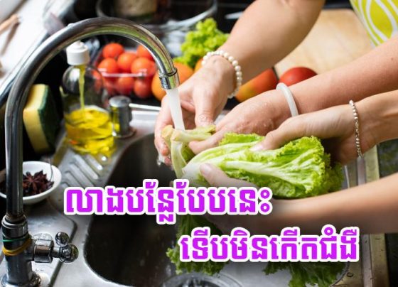 លាង​បន្លែ​បែប​នេះ ទើប​មិនកើត​ជំងឺ