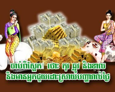ចាប់ពីស្អែក! ថោះ កុរ ឆ្លូវ និងខាល នឹងមានអ្នកជួយដោះស្រាយបញ្ហារាល់ថ្ងៃ