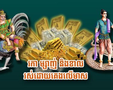 រកា ម្សាញ់ និង​ខាល រស់​ដោយ​គេង​លើ​មាស