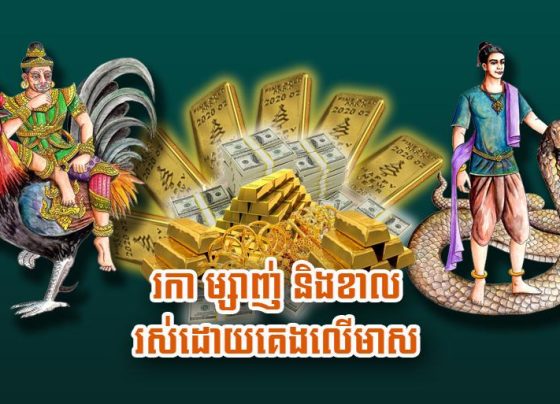 រកា ម្សាញ់ និង​ខាល រស់​ដោយ​គេង​លើ​មាស