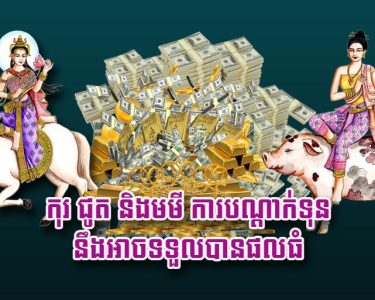 កុរ ជូត និង​មមី ​ការបណ្តាក់ទុន នឹងអាចទទួលបានផលធំ