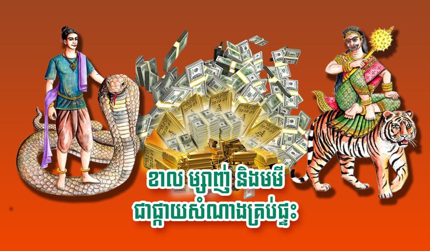 ឆ្នាំសំណាងនាំលាភ: ឆ្នាំខាល ម្សាញ់ និង មមី ជាផ្កាយសំណាងគ្រប់ផ្ទះ