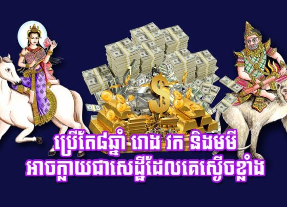 ប្រើ​តែ​៨​ឆ្នាំ រោង វក និង​មមី អាច​ក្លាយជា​សេដ្ឋី​ដែល​គេ​ស្ងើច​ខ្លាំង
