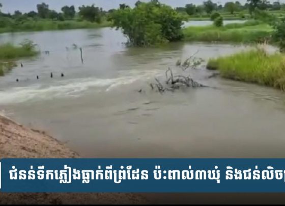 ជំនន់​ទឹកភ្លៀង​ធ្លាក់​ពី​ព្រំដែន ​ប៉ះ​ពាល់​៣​ឃុំ​ និង​ជន់​​លិច​ស្រូវ​ច្រើន​ហិ​កតា នៅ​ស្រុក​ថ្មពួក