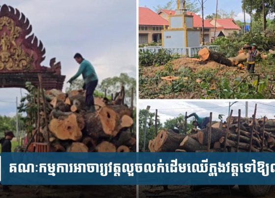 ដោយសារអំណា.ចលោកតាប្រាក់ អាចារ្យវត្ត​កា.ប់ឈើក្នុងវត្តលក់ឱ្យឈ្មួញ ផ្អើលឈុល