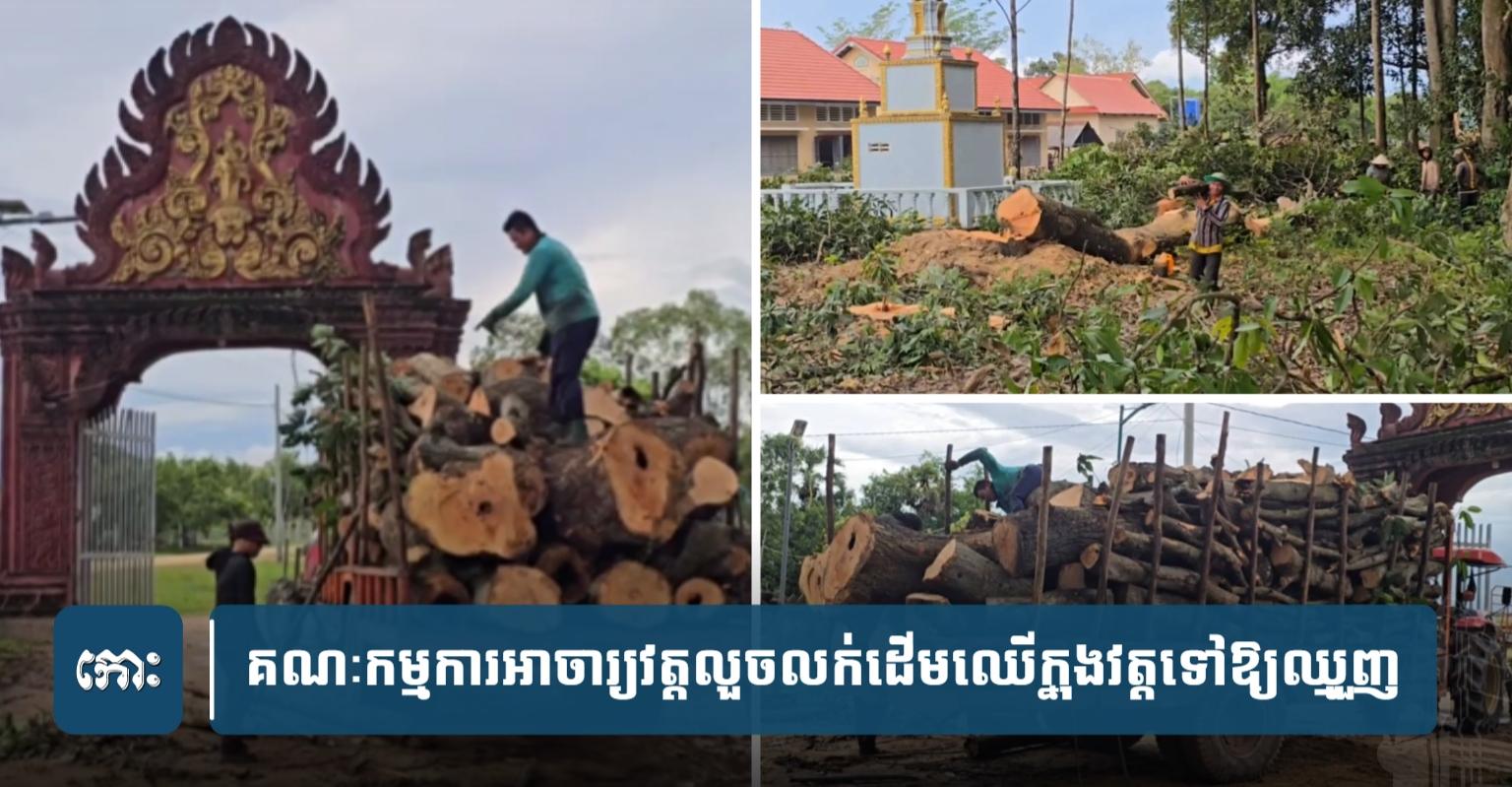 អាស្រូវវត្ត! អាចារ្យវត្តព្រៃធ្លក ស្វាយរៀង ត្រូវប្ដឹងពីបទលក់ឈើក្នុងវត្តឱ្យឈ្មួញវៀតណាម ផ្អើលសមត្ថកិច្ចចុះបង្ក្រាប