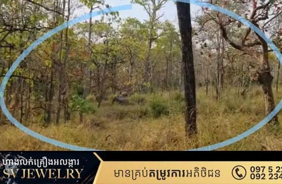 ការពារព្រៃឈើ ការពារសត្វព្រៃ! ហើយនេះជាហ្វូងដំរីដែលថតបាននៅមណ្ឌលគិរី!
