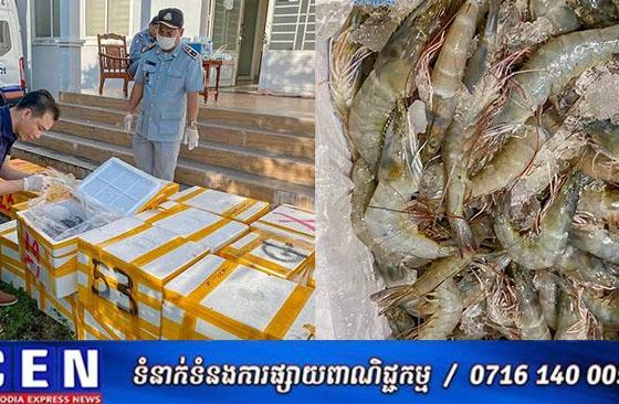 មន្រ្តីជំនាញបង្រ្កាបបង្គាចាក់ចាហួយចំនួន១តោន ៣០០គីឡូក្រាម