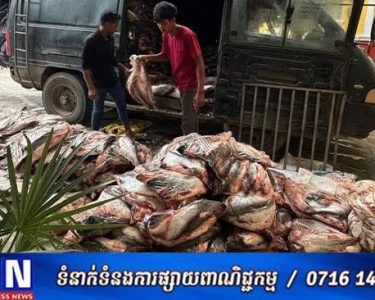 ត្រីក្លាសេនិងត្រីខូចគុណភាពប្រមាណជាង១០តោន ដែលនាំចូលពីប្រទេសថៃដោយគ្មានលិខិតអនុញ្ញាតត្រឹមត្រូវ ត្រូវបានសមត្ថកិច្ចឃាត់អនុវត្តតាមនីតិវិធីច្បាប់