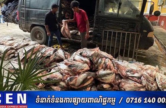 ត្រីក្លាសេនិងត្រីខូចគុណភាពប្រមាណជាង១០តោន ដែលនាំចូលពីប្រទេសថៃដោយគ្មានលិខិតអនុញ្ញាតត្រឹមត្រូវ ត្រូវបានសមត្ថកិច្ចឃាត់អនុវត្តតាមនីតិវិធីច្បាប់