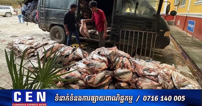 ត្រីនាំចូលខុសច្បាប់៖ សមត្ថកិច្ចបាត់ដំបងឃាត់ត្រីក្លាសេ និងត្រីខូចគុណភាពជិត ១១តោន នាំចូលពីថៃគ្មានលិខិតអនុញ្ញាត