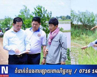អភិបាលខេត្តកំពង់ចាមដឹកនាំមន្ត្រីជំនាញចុះសង្គ្រោះដំណាំស្រូវលិចលង់ជាង៥០០ហិកតា ដោយជំនន់ទឹកភ្លៀង