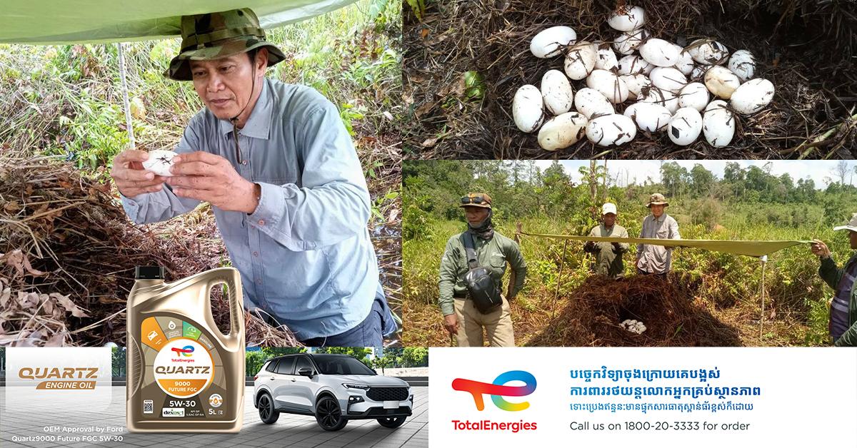 រកឃើញពងក្រពើភ្នំ៖ ៤៣គ្រាប់បន្ថែមទៀតនៅឧទ្យានជាតិជួរភ្នំក្រវាញឆ្នាំ២០២៥