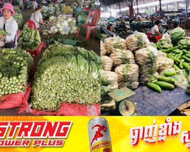 ខេត្តបាត់ដំបង មានបន្លែផ្គត់ផ្គង់ខ្លួនឯងគ្រប់គ្រាន់ បើទោះជាមិននាំចូលពីថៃ