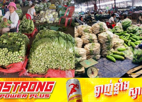 ខេត្តបាត់ដំបង មានបន្លែផ្គត់ផ្គង់ខ្លួនឯងគ្រប់គ្រាន់ បើទោះជាមិននាំចូលពីថៃ