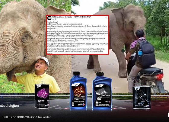 អង្គការសម្ព័ន្ធមិត្ដសត្វព្រៃ បញ្ជាក់ជុំវិញការលាឈប់ពីការងាររបស់លោក ទ្រី ស៊ីថេង និងការមើលថែទាំសត្វនៅភ្នំតាម៉ៅ