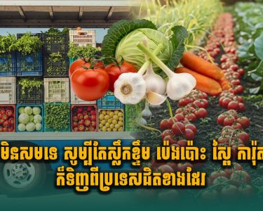 វាមិនសមទេ សូម្បីតែស្លឹកខ្ទឹម ប៉េងប៉ោះ ស្ពៃ ការ៉ុត ក៏ទិញពីប្រទេសជិតខាងដែរ