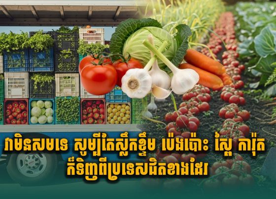 វាមិនសមទេ សូម្បីតែស្លឹកខ្ទឹម ប៉េងប៉ោះ ស្ពៃ ការ៉ុត ក៏ទិញពីប្រទេសជិតខាងដែរ