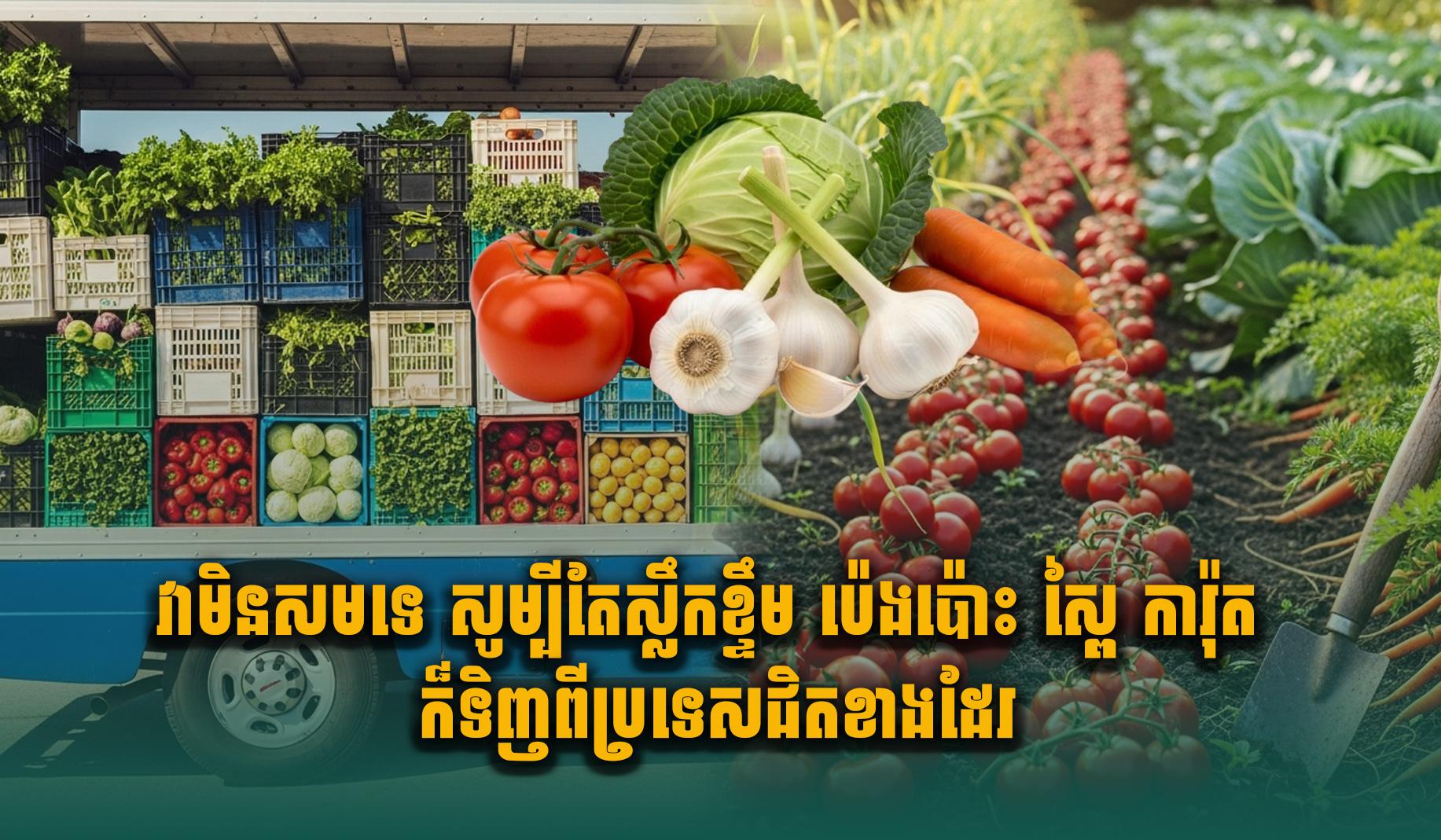 កម្ពុជាដីមាស! នាំចូលសូម្បីតែស្លឹកខ្ទឹម ប៉េងប៉ោះ ស្ពៃ ការ៉ុត… តើយើងខ្ជិលពេកហើយឬ?