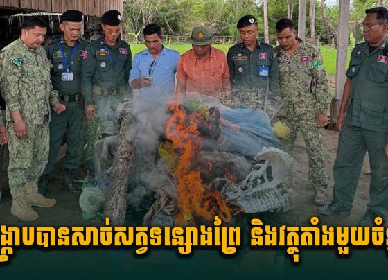 បង្ក្រាប​បាន​សំណាក​សាច់សត្វ​ទន្សោង​ព្រៃ និង​វត្ថុ​តាំង​មួយ​ចំនួន នៅ​ស្រុក​កោះ​ញែក