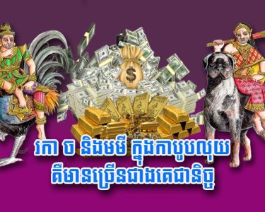 រកា ច និង​មមី ក្នុង​កាបូប​លុយ​គឺ​មាន​ច្រើន​ជាងគេ​ជា​និច្ច